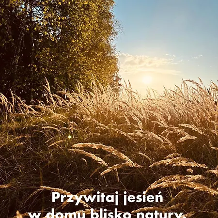 Dom wakacyjny Dębówka Boszkowo-Letnisko