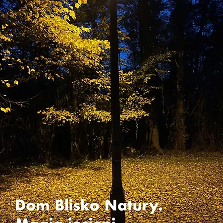 Dom wakacyjny Dębówka